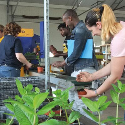 asfodep_communique_CentreHorticole_190606_Thumb