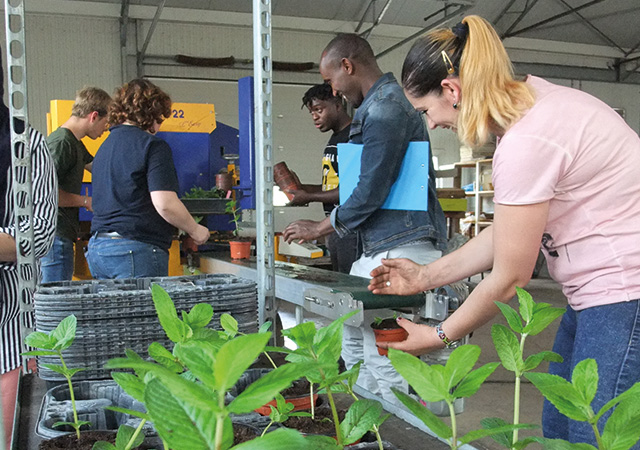 asfodep_communique_CentreHorticole_190606_Thumb